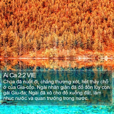 Ai Ca 2:2 VIE Bible Verse Image