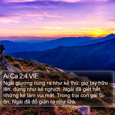 Ai Ca 2:4 VIE Bible Verse Image
