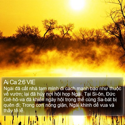 Ai Ca 2:6 VIE Bible Verse Image