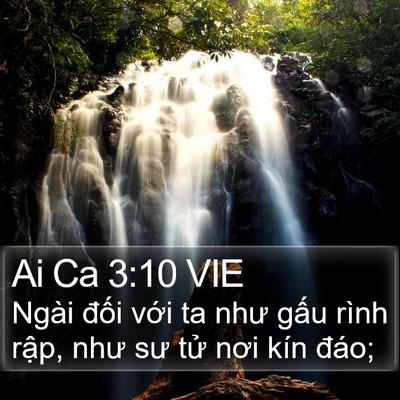 Ai Ca 3:10 VIE Bible Verse Image