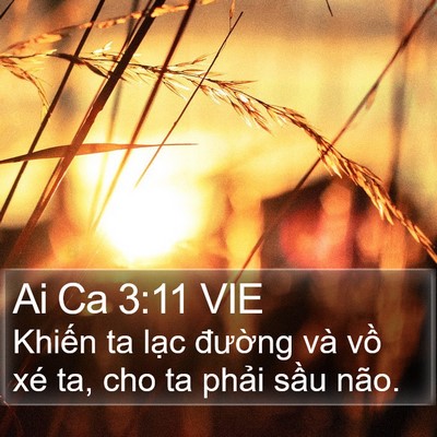 Ai Ca 3:11 VIE Bible Verse Image