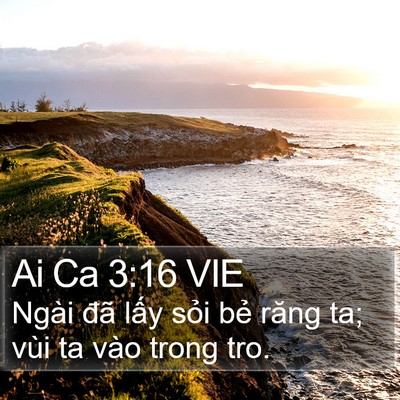 Ai Ca 3:16 VIE Bible Verse Image