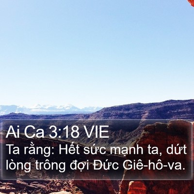 Ai Ca 3:18 VIE Bible Verse Image
