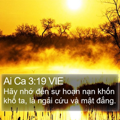 Ai Ca 3:19 VIE Bible Verse Image