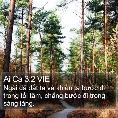 Ai Ca 3:2 VIE Bible Verse Image