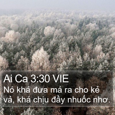 Ai Ca 3:30 VIE Bible Verse Image
