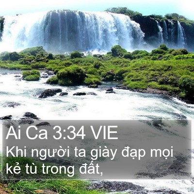 Ai Ca 3:34 VIE Bible Verse Image