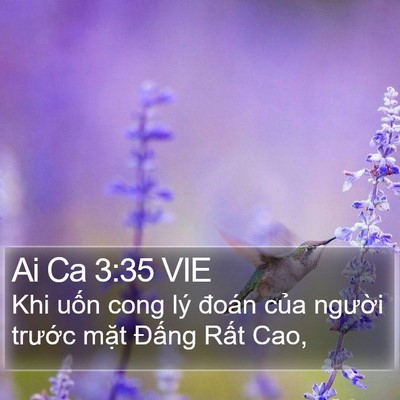 Ai Ca 3:35 VIE Bible Verse Image