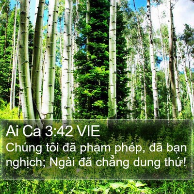 Ai Ca 3:42 VIE Bible Verse Image
