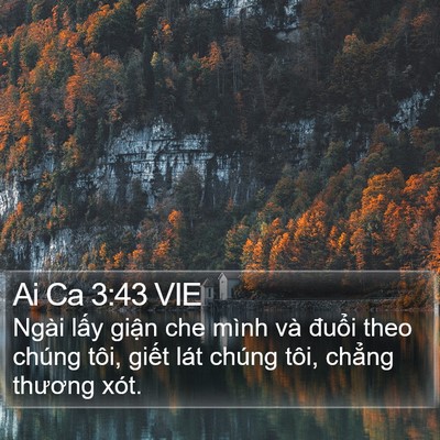 Ai Ca 3:43 VIE Bible Verse Image
