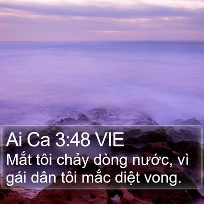 Ai Ca 3:48 VIE Bible Verse Image