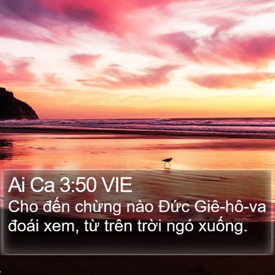 Ai Ca 3:50 VIE Bible Verse Image