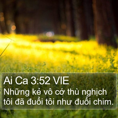 Ai Ca 3:52 VIE Bible Verse Image