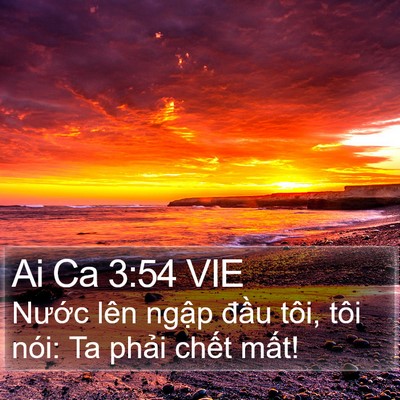 Ai Ca 3:54 VIE Bible Verse Image