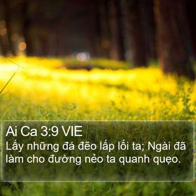 Ai Ca 3:9 VIE Bible Verse Image