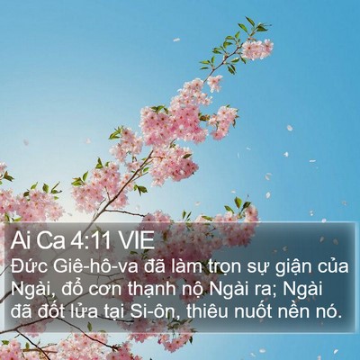 Ai Ca 4:11 VIE Bible Verse Image