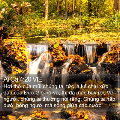 Ai Ca 4:20 VIE Bible Verse Image