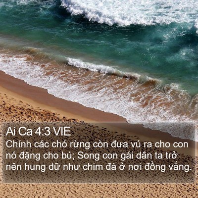 Ai Ca 4:3 VIE Bible Verse Image