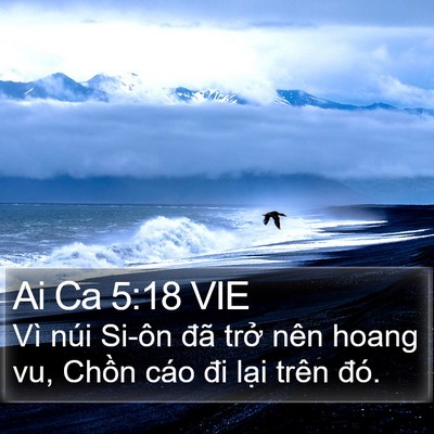 Ai Ca 5:18 VIE Bible Verse Image