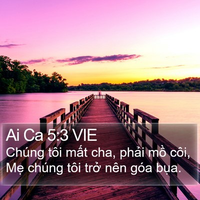 Ai Ca 5:3 VIE Bible Verse Image
