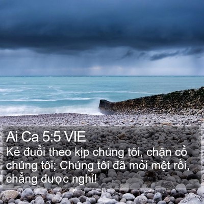 Ai Ca 5:5 VIE Bible Verse Image