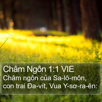 Châm Ngôn 1:1 VIE Bible Verse Image