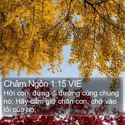 Châm Ngôn 1:15 VIE Bible Verse Image