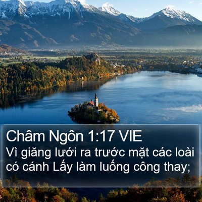 Châm Ngôn 1:17 VIE Bible Verse Image