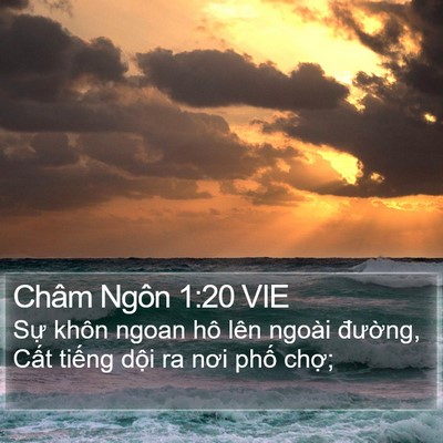 Châm Ngôn 1:20 VIE Bible Verse Image