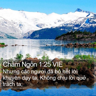 Châm Ngôn 1:25 VIE Bible Verse Image