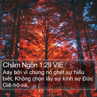 Châm Ngôn 1:29 VIE Bible Verse Image