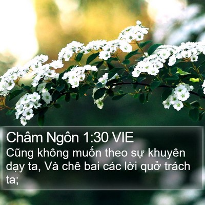 Châm Ngôn 1:30 VIE Bible Verse Image