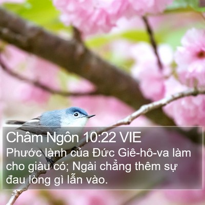 Châm Ngôn 10:22 VIE Bible Verse Image