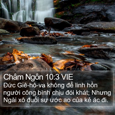 Châm Ngôn 10:3 VIE Bible Verse Image