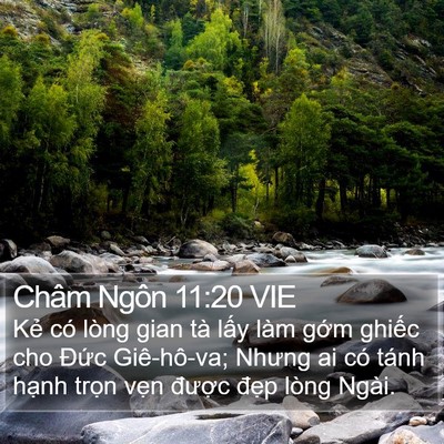 Châm Ngôn 11:20 VIE Bible Verse Image