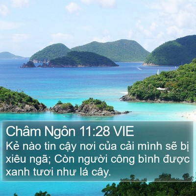 Châm Ngôn 11:28 VIE Bible Verse Image