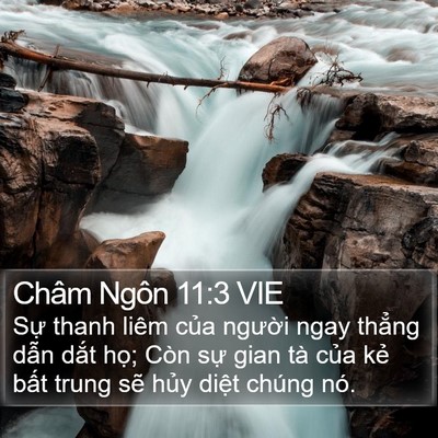 Châm Ngôn 11:3 VIE Bible Verse Image