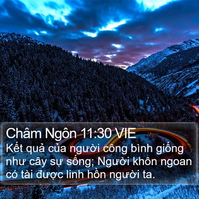 Châm Ngôn 11:30 VIE Bible Verse Image