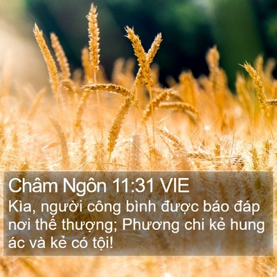 Châm Ngôn 11:31 VIE Bible Verse Image