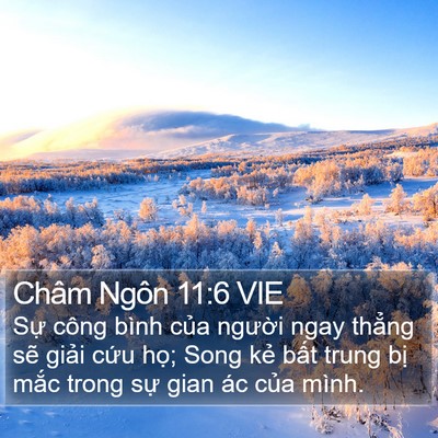 Châm Ngôn 11:6 VIE Bible Verse Image
