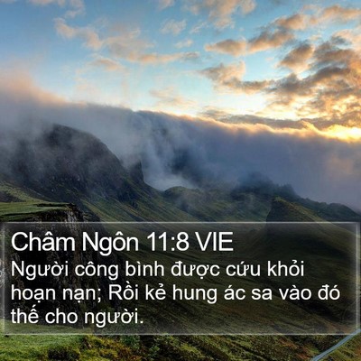 Châm Ngôn 11:8 VIE Bible Verse Image