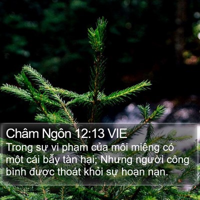 Châm Ngôn 12:13 VIE Bible Verse Image