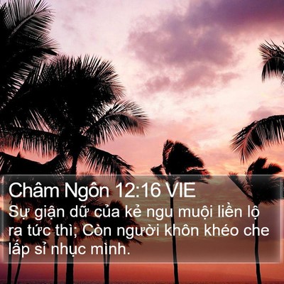 Châm Ngôn 12:16 VIE Bible Verse Image