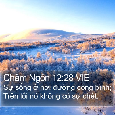 Châm Ngôn 12:28 VIE Bible Verse Image