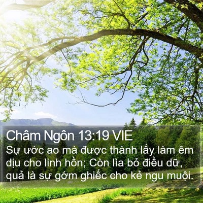 Châm Ngôn 13:19 VIE Bible Verse Image