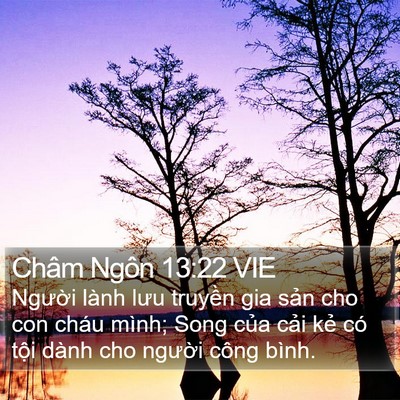 Châm Ngôn 13:22 VIE Bible Verse Image