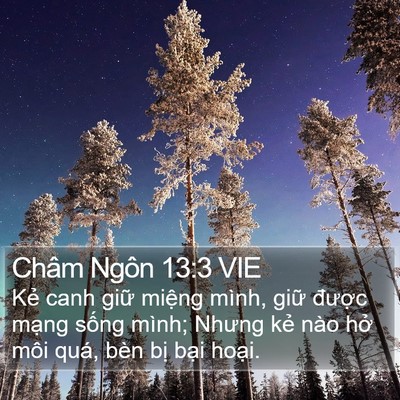 Châm Ngôn 13:3 VIE Bible Verse Image