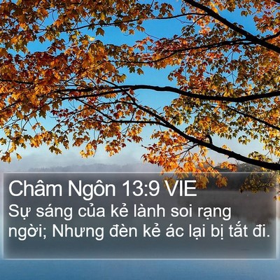 Châm Ngôn 13:9 VIE Bible Verse Image