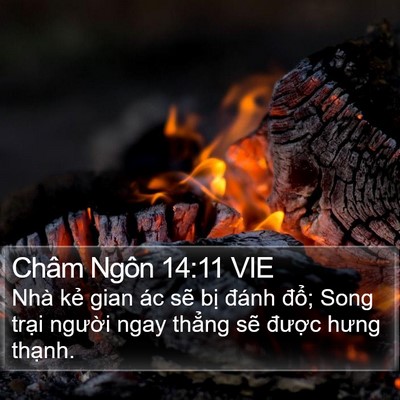 Châm Ngôn 14:11 VIE Bible Verse Image