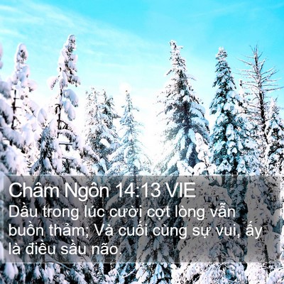 Châm Ngôn 14:13 VIE Bible Verse Image